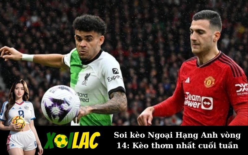 Soi kèo Ngoại Hạng Anh vòng 14: Kèo thơm nhất cuối tuần